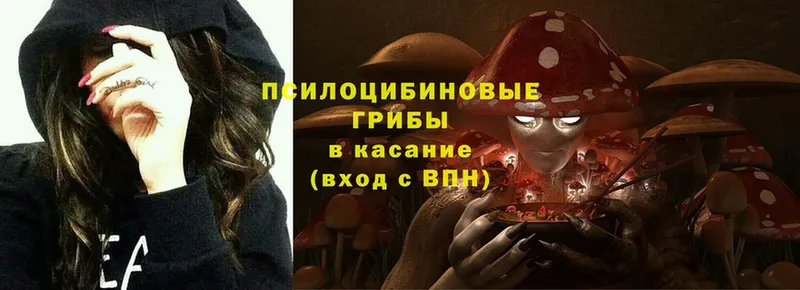 купить  цена  omg вход  Псилоцибиновые грибы Psilocybe  Шуя 